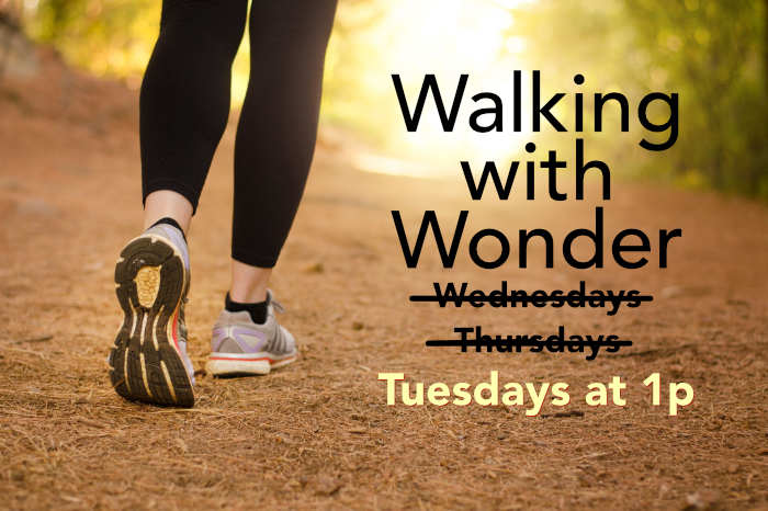Walking with Wonder 03 Web Res Lrg