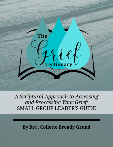 Small group bible study using 