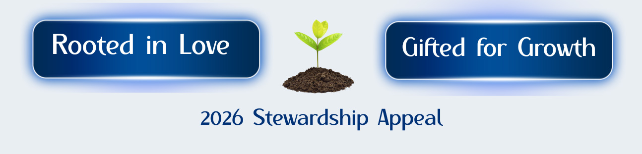 stewardship header
